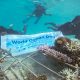 Batch 003 World Ocean Day NH Maldives Kuda Rah