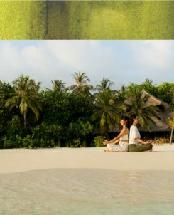 Batch 1. Global Wellness Day Cover