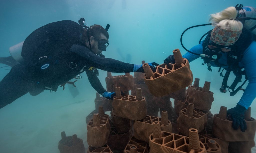 Batch 680537 One clay brick at a time, marine conservation takes shape beneath the surface as divers carefully assemble the artificial reef 4ea14e original