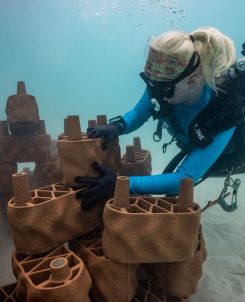 Batch 680538 Beneath the tranquil waters of the lagoon, underwater works include securing the structure into the lagoon base to ensure longevity b43578 original