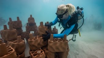 Batch 680538 Beneath the tranquil waters of the lagoon, underwater works include securing the structure into the lagoon base to ensure longevity b43578 original