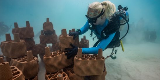 Batch 680538 Beneath the tranquil waters of the lagoon, underwater works include securing the structure into the lagoon base to ensure longevity b43578 original