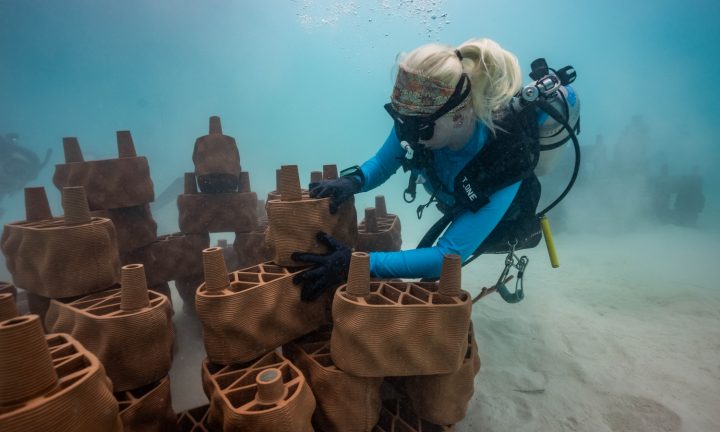 Batch 680538 Beneath the tranquil waters of the lagoon, underwater works include securing the structure into the lagoon base to ensure longevity b43578 original
