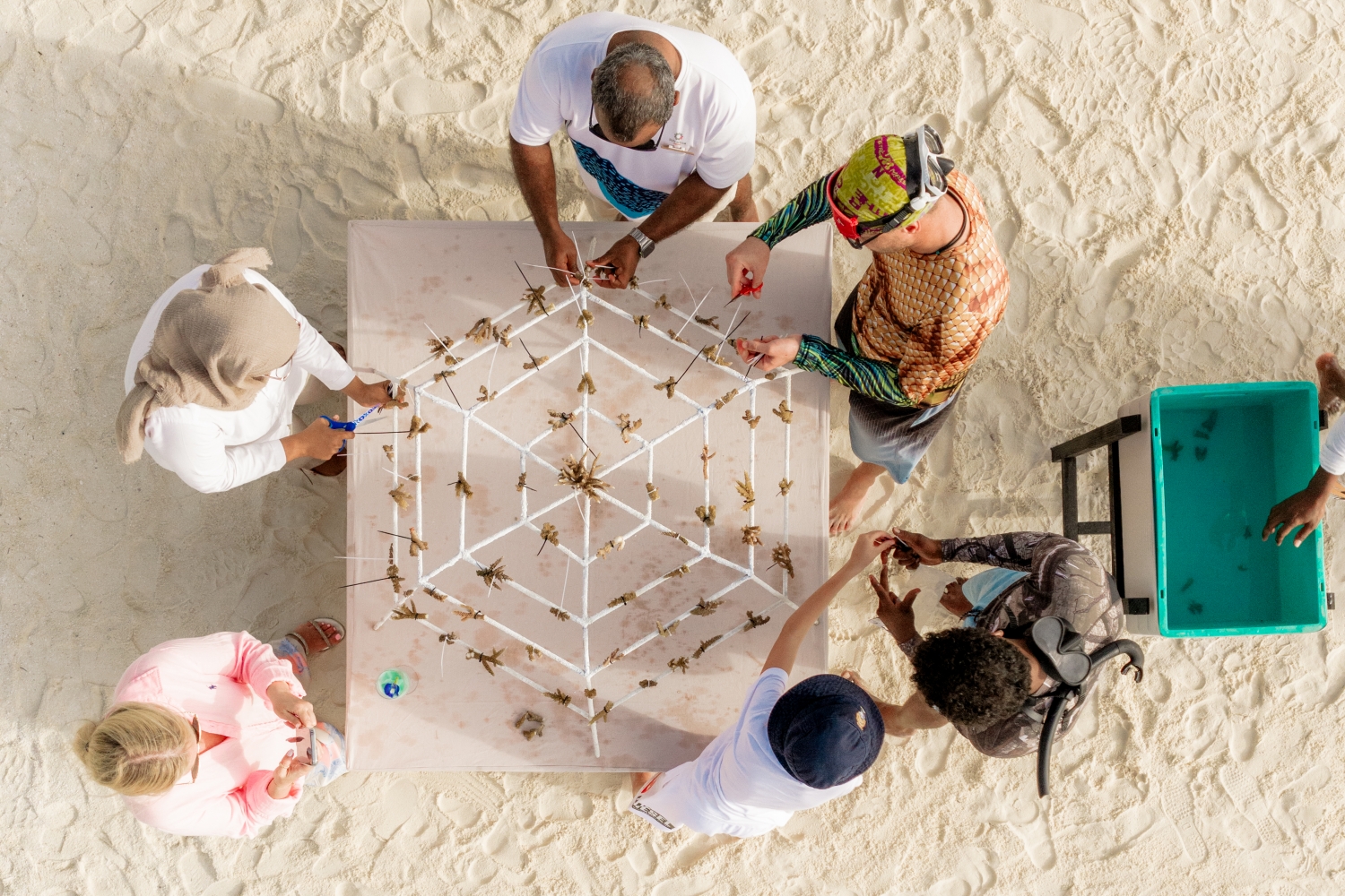 Sun Siyam Iru Veli launches coral planting initiative on World Environment Day