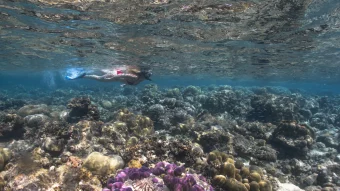 Eurodivers underwater23