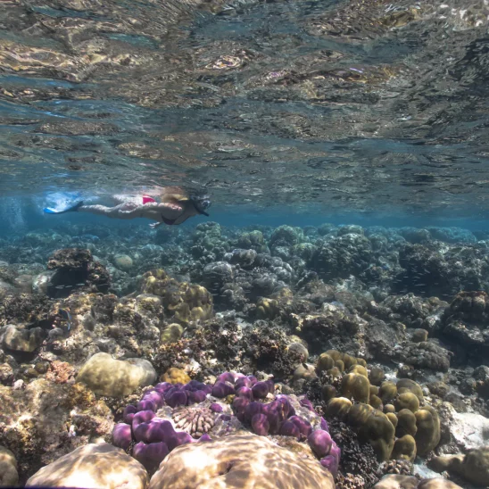 Eurodivers underwater23