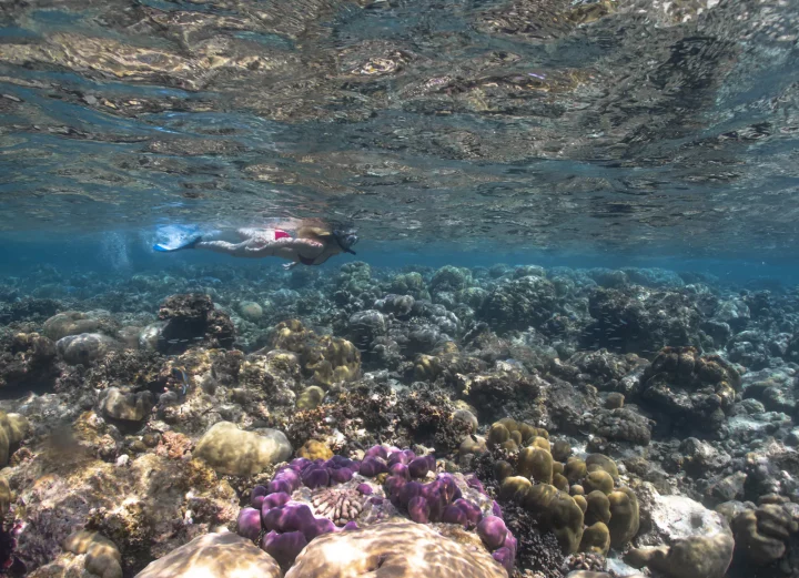 Eurodivers underwater23