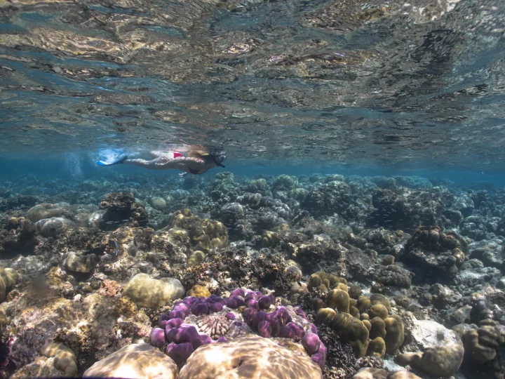 Eurodivers underwater23