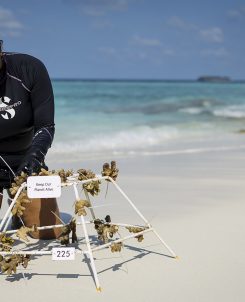 MIL People MarineBiologist