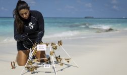 MIL People MarineBiologist