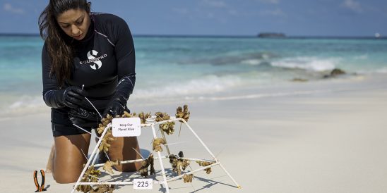 MIL People MarineBiologist