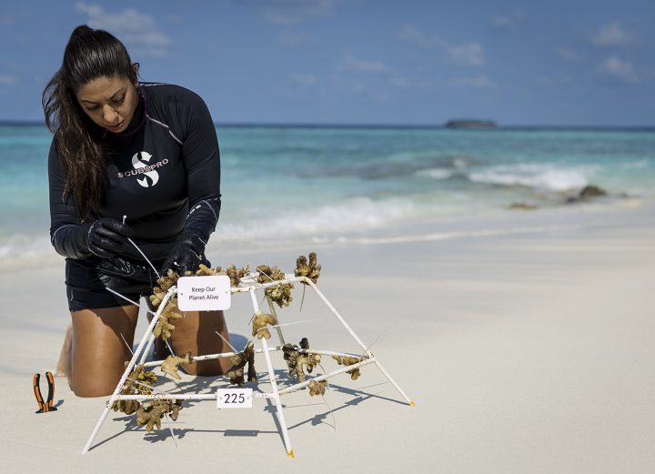 MIL People MarineBiologist