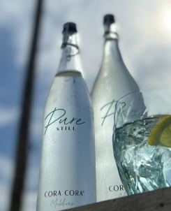Pure Bottled Water