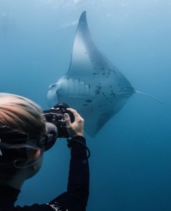 Batch Beth photo IDing Maldives 2020 Kaitlyn Zerr