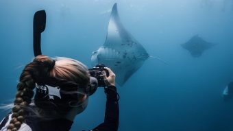 Batch Beth photo IDing Maldives 2020 Kaitlyn Zerr