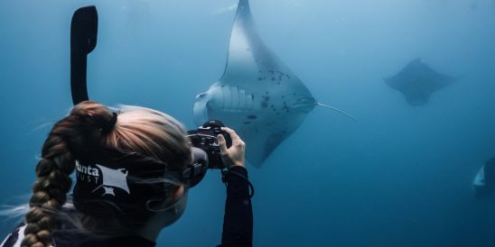 Batch Beth photo IDing Maldives 2020 Kaitlyn Zerr