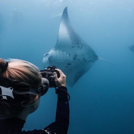 Batch Beth photo IDing Maldives 2020 Kaitlyn Zerr