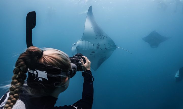 Batch Beth photo IDing Maldives 2020 Kaitlyn Zerr