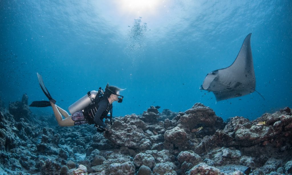 Batch Diver and Reef manta Maldives 2019 Simon Hilbourne