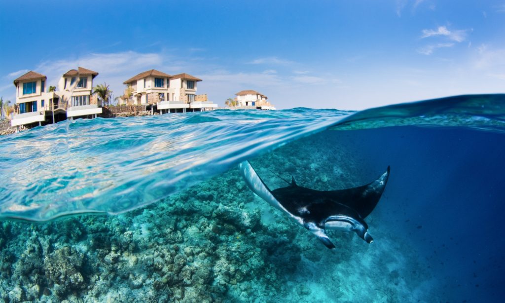 Batch Manta and InterContinental Split Maldives 2019 Simon Hilbourne