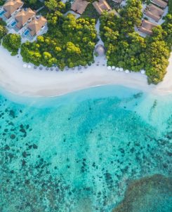Batch Reethi Faru Resort Honoured Once Again with Tripadvisor Travelers' Choice Award