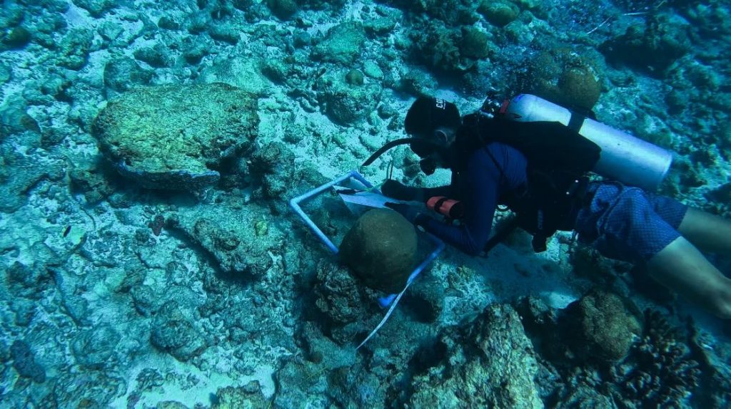 Soneva Jani Sustainability Underwater Survey (1) Large