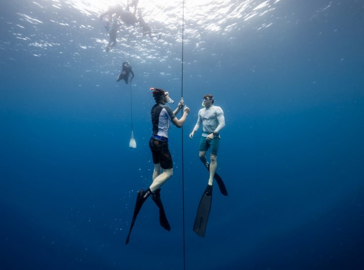 Batch 694635 Avani+ Fares Maldives Resort PADI Aware Week 2025 Freediving Class b1eca2 original