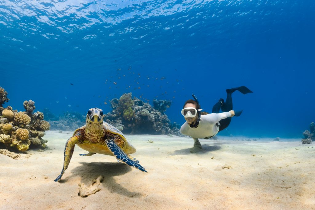 Batch 694637 NH Collection Maldives Reethi House Reef 305ffd original