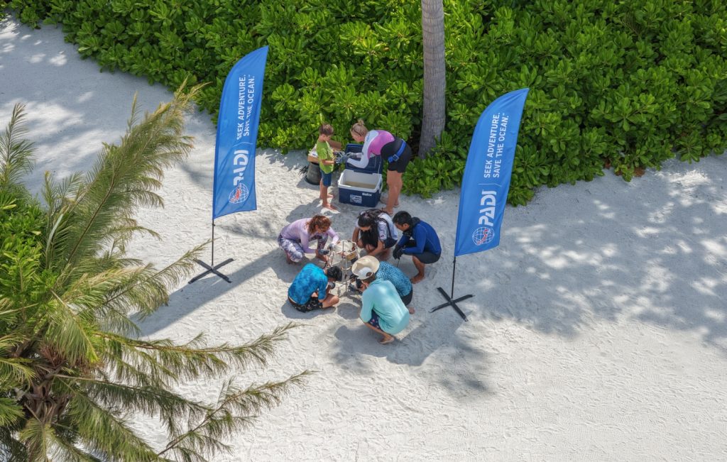 Batch 694639 Avani+ Fares Maldives Resort PADI Aware Week 2025 Coral Planting 85354d original