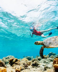 Batch Grand Park Kodhipparu Snorkelling