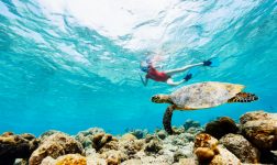 Batch Grand Park Kodhipparu Snorkelling