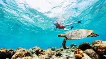 Batch Grand Park Kodhipparu Snorkelling