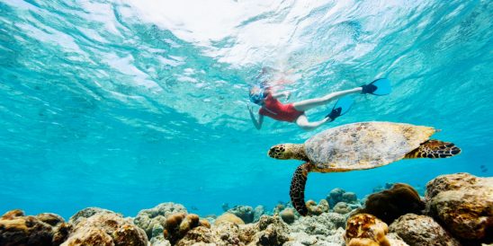 Batch Grand Park Kodhipparu Snorkelling