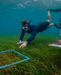 Batch MUI team seagrass snorkel