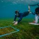 Batch MUI team seagrass snorkel