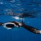 Manta Ray front on beneath waterline Henley Spiers