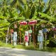 Niva Kuramathi Maldives Festive Season (5)