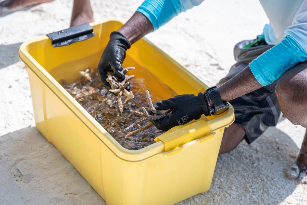 WhatsApp Image 2026 09 07 at 15.36.50