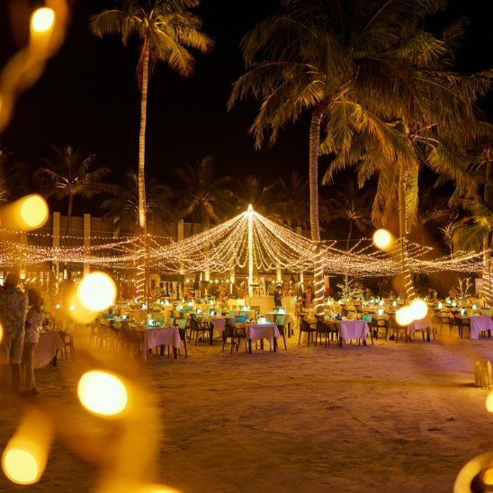 Batch Festives