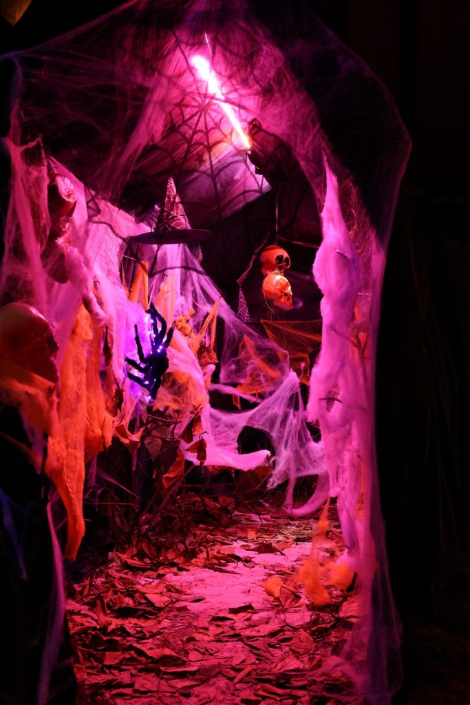 Batch Halloween Takes Over Paradise at Reethi Faru Resort (1)