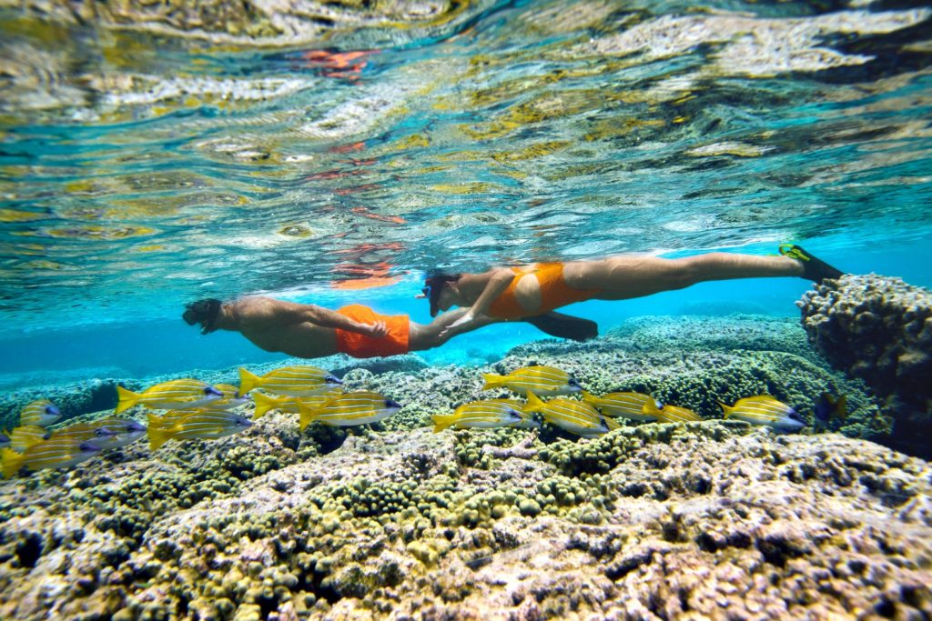 Batch Le Meridien Maldives Resort and Spa Housereef Snorkelling