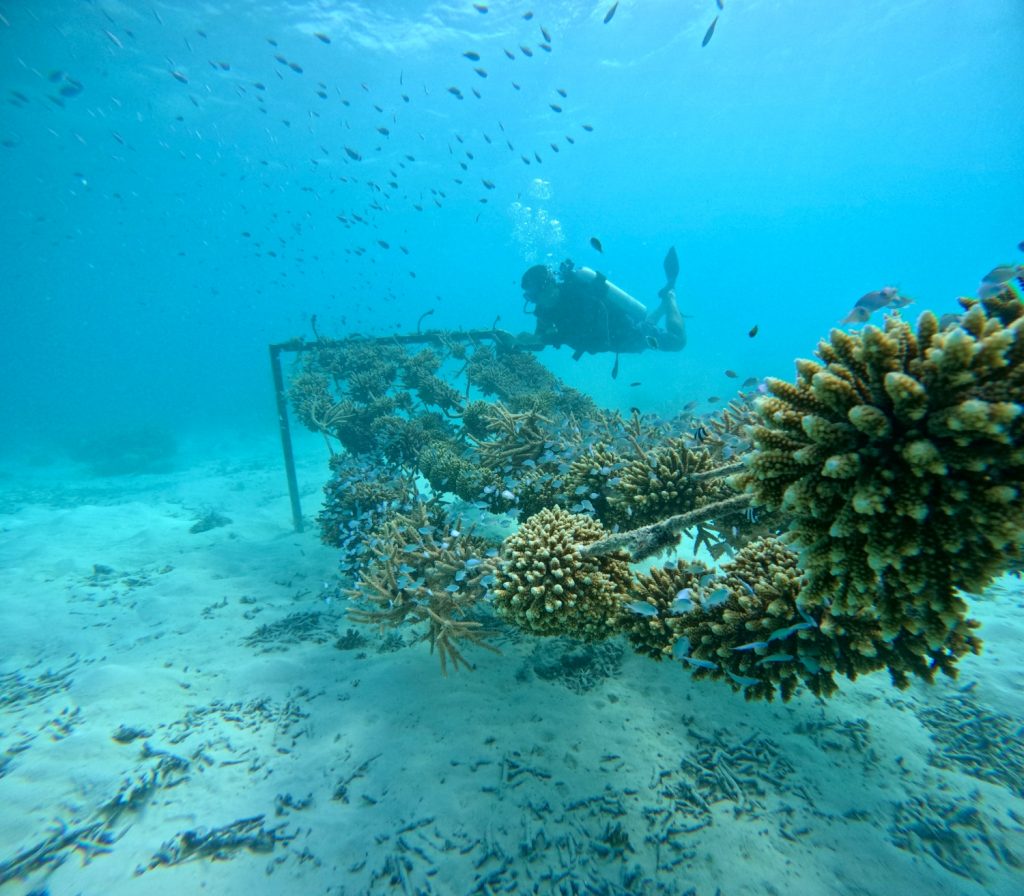 DCIM102GOPROGOPR5712.JPG