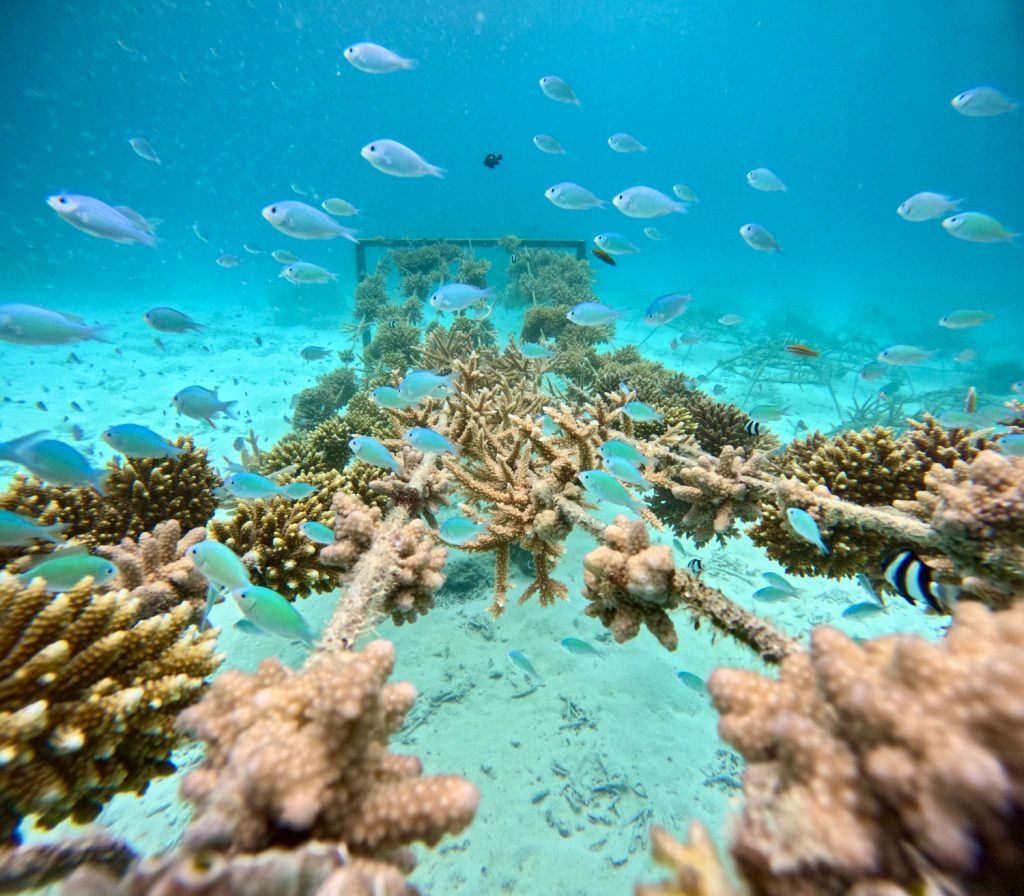 DCIM105GOPROGOPR3013.JPG