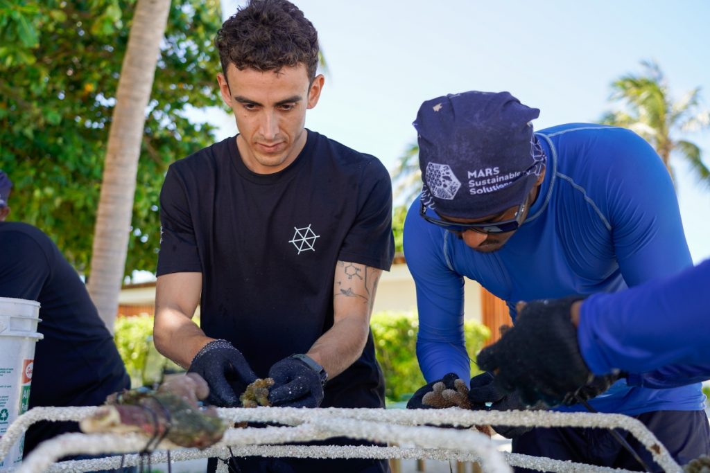 Batch The Westin Maldives Miriandhoo Resort Building a Reef Star
