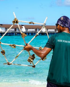 Batch The Westin Maldives Miriandhoo Resort Reef Star