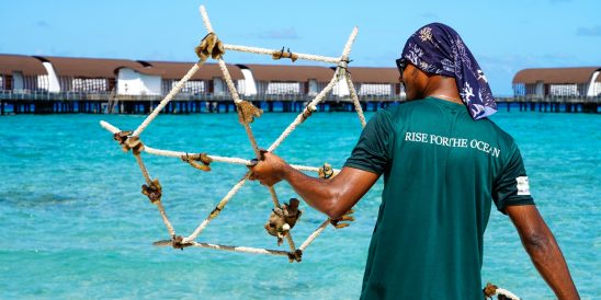 Batch The Westin Maldives Miriandhoo Resort Reef Star