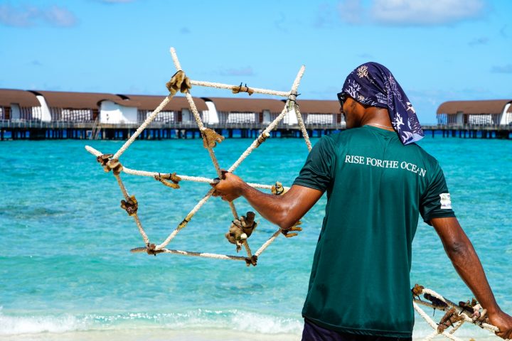 Batch The Westin Maldives Miriandhoo Resort Reef Star