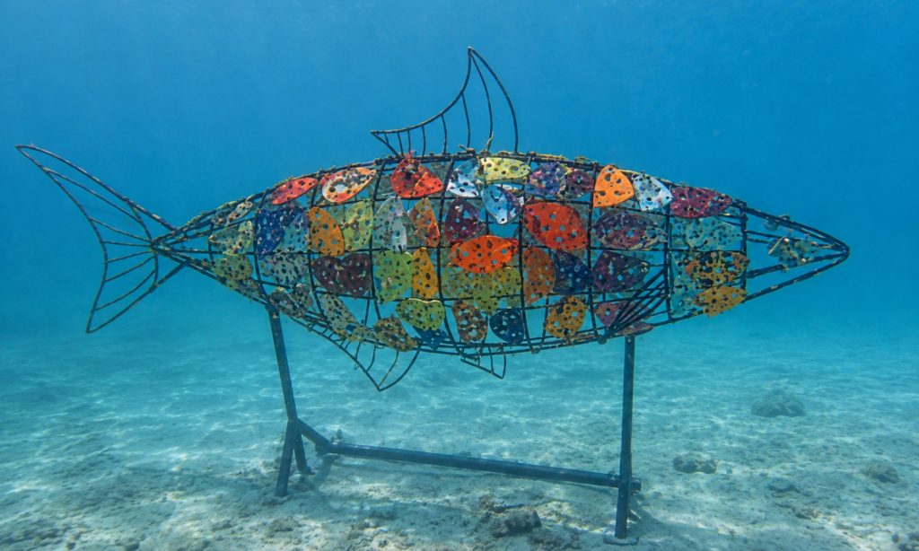 Batch Underwater Coral Reef Structure
