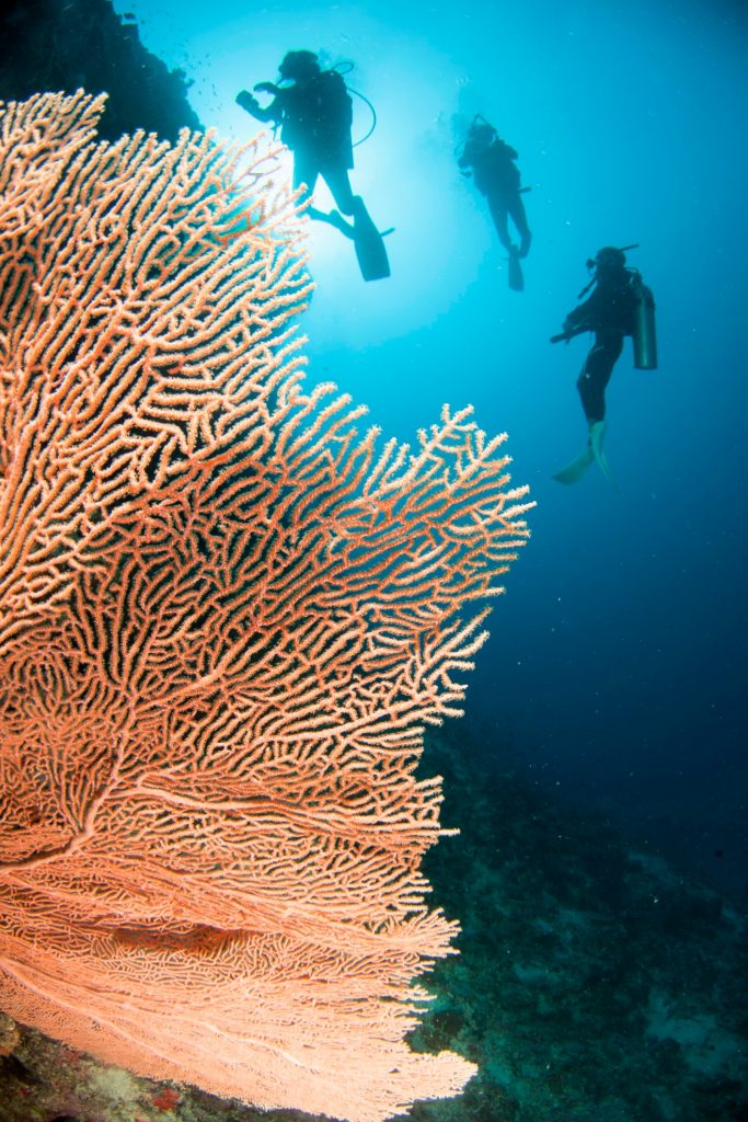 Centara Grand Island Resort & Spa Maldives Diving