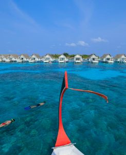 Batch cirm snorkelling 03 Large (1)